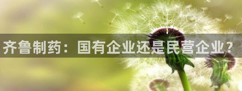 9游会老哥俱乐部：齐鲁制药：国有企业还是民营企业？