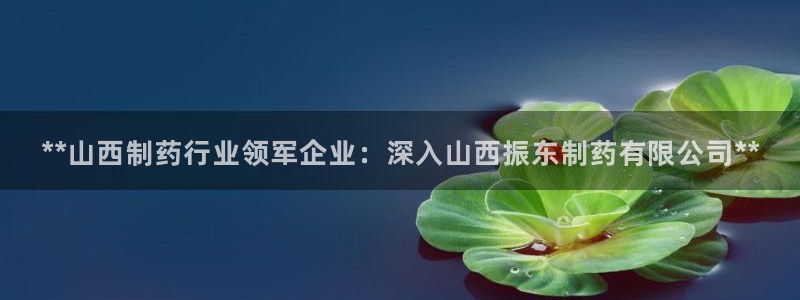九游老哥俱乐部官网登录不了：**山西制药行业领军企业：深入山西振东制药有限公司**