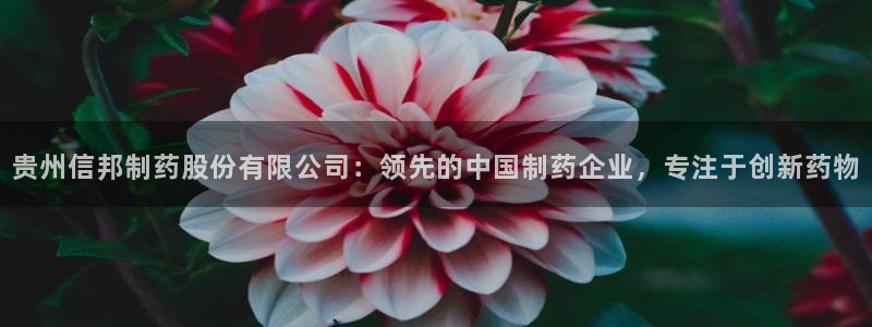 9游会老哥俱乐部：贵州信邦制药股份有限公司：领先的中国制药企业，专注于创新药物