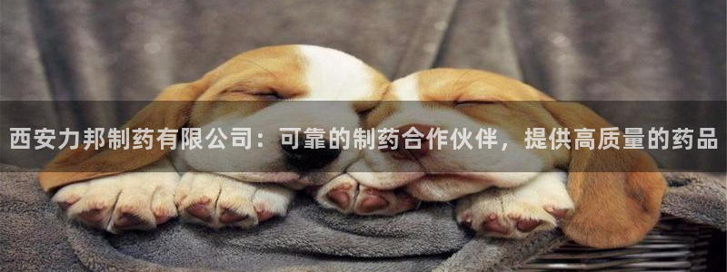 老哥俱乐部是干什么的：西安力邦制药有限公司：可靠的制药合作伙伴，提供高质量的药品