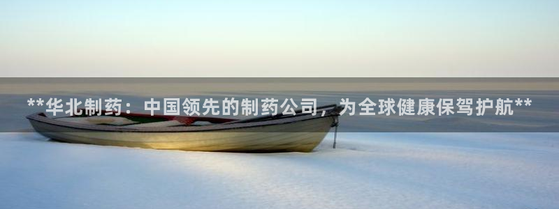 老哥俱乐部是干什么的啊：**华北制药：中国领先的制药公司，为全球健康保驾护航**
