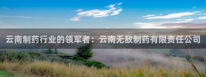 九游会老哥俱乐部必备的交流社区：云南制药行业的领军者：云南无敌制药有限责任公司
