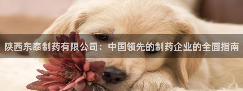 九游老哥俱乐部官网登录：陕西东泰制药有限公司：中国领先的制药企业的全面指南