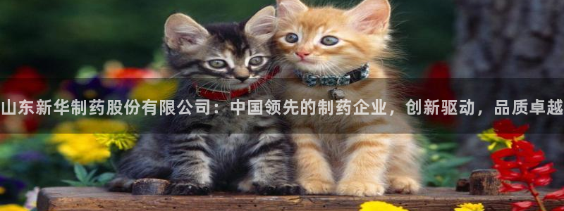 九游会老哥：山东新华制药股份有限公司：中国领先的制药企业，创新驱动，品质卓越