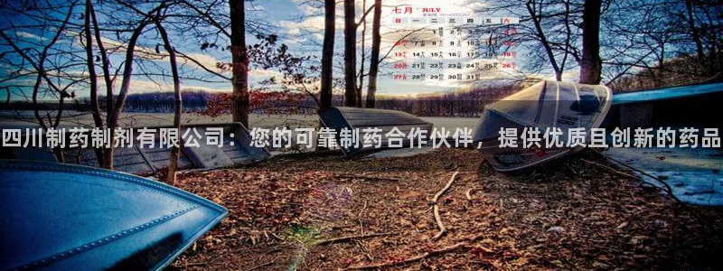 九游会老哥俱乐部官网首页论坛：四川制药制剂有限公司：您的可靠制药合作伙伴，提供优质且创新的药品