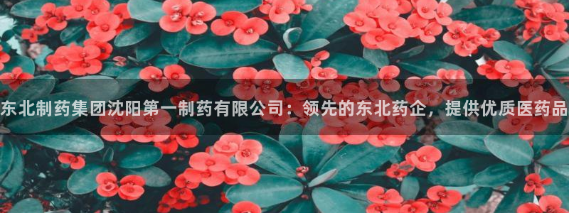 九游会老哥俱乐部必备的交流社区：东北制药集团沈阳第一制药有限公司：领先的东北药企，提供优质医药品