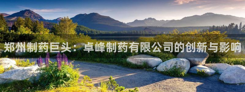 九游会老哥俱乐部官方网站：郑州制药巨头：卓峰制药有限公司的创新与影响