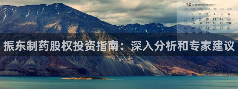 九游会老哥俱乐部必备的交流社区论坛：振东制药股权投资指南：深入分析和专家建议