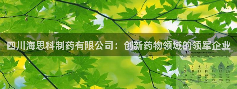 老哥俱乐部是干什么的：四川海思科制药有限公司：创新药物领域的领军企业