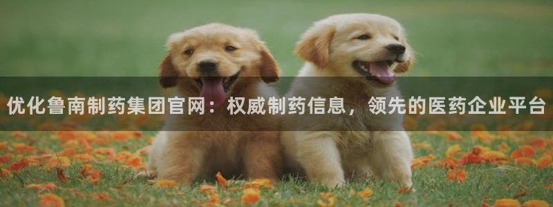 ag九游老哥俱乐部：优化鲁南制药集团官网：权威制药信息，领先的医药企业平台