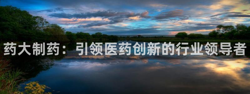 ag九游会老哥：药大制药：引领医药创新的行业领导者