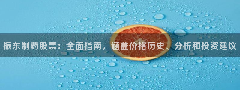 老哥吧九游会：振东制药股票：全面指南，涵盖价格历史、分析和投资建议