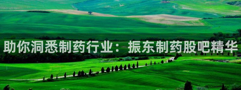 九游会老哥俱乐部官网首页：助你洞悉制药行业：振东制药股吧精华