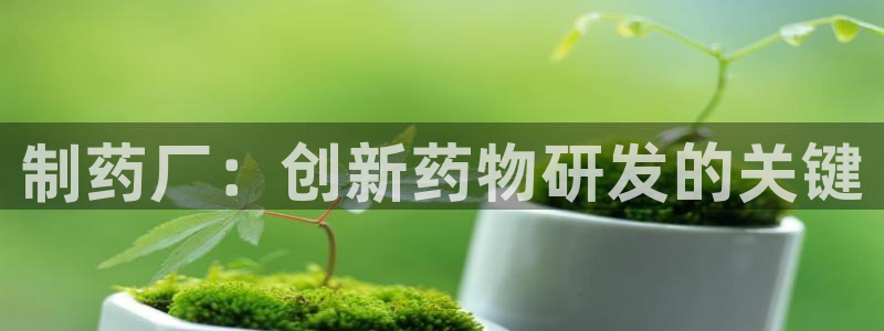 ag九游老哥俱乐部：制药厂：创新药物研发的关键