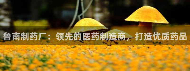 九游会老哥必备的交流社区：鲁南制药厂：领先的医药制造商，打造优质药品