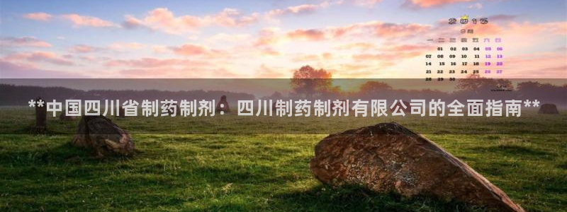 9游会老哥：**中国四川省制药制剂：四川制药制剂有限公司的全面指南**