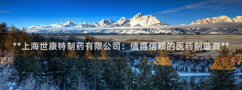 老哥俱乐部是干什么的：**上海世康特制药有限公司：值得信赖的医药制造商**