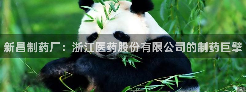 九游老哥俱乐部官网登录：新昌制药厂：浙江医药股份有限公司的制药巨擘