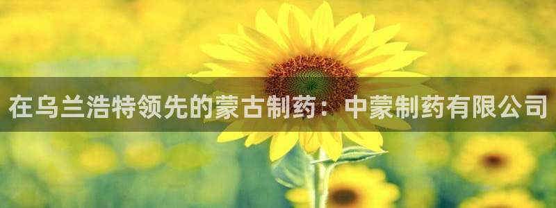 9游会老哥：在乌兰浩特领先的蒙古制药：中蒙制药有限公司