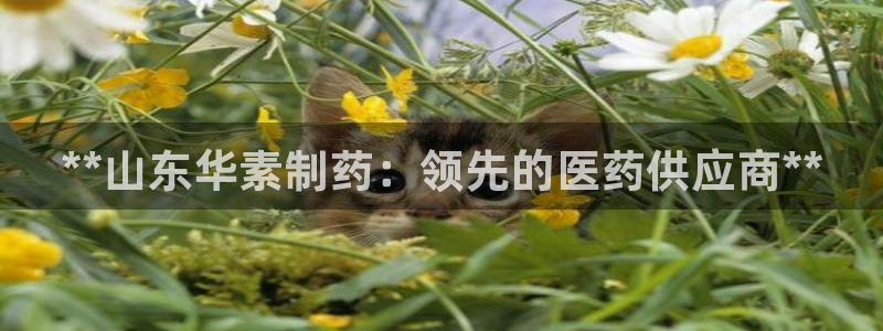 九游会老哥俱乐部官网：**山东华素制药：领先的医药供应商**