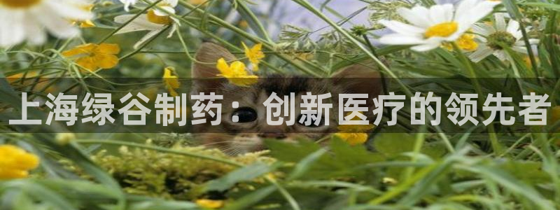 九游会老哥：上海绿谷制药：创新医疗的领先者