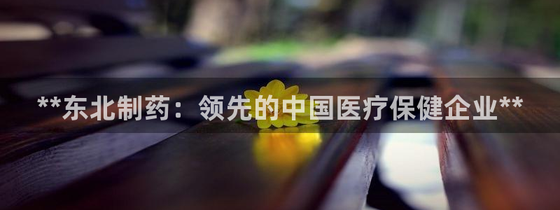 ag九游会老哥俱乐部：**东北制药：领先的中国医疗保健企业**