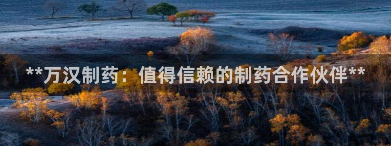九游老哥俱乐部官网登录不了：**万汉制药：值得信赖的制药合作伙伴**