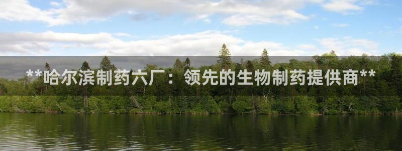 九游会老哥俱乐部：**哈尔滨制药六厂：领先的生物制药提供商**