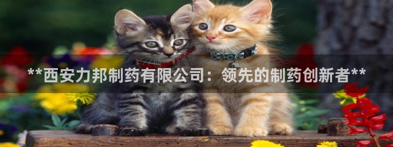 九游老哥俱乐部官网登录：**西安力邦制药有限公司：领先的制药创新者**
