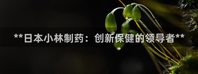 j9九游会老哥俱乐部交流区