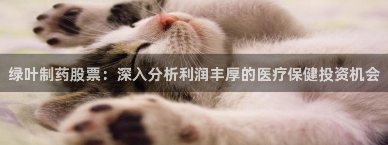 j9九游会老哥俱乐部交流区：绿叶制药股票：深入分析利润丰厚的医疗保健投资机会