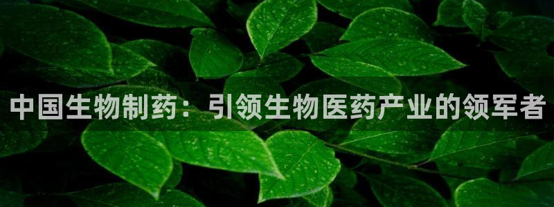 老哥俱乐部是干什么的：中国生物制药：引领生物医药产业的领军者