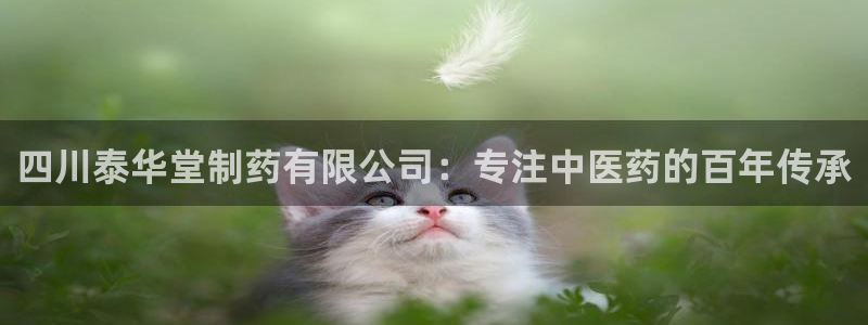 九游会老哥俱乐部论坛版：四川泰华堂制药有限公司：专注中医药的百年传承