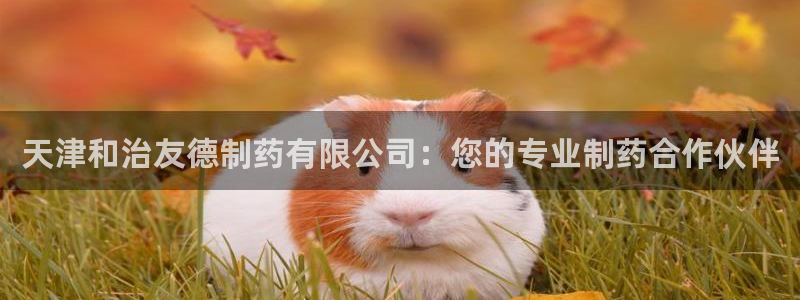 9游会老哥：天津和治友德制药有限公司：您的专业制药合作伙伴