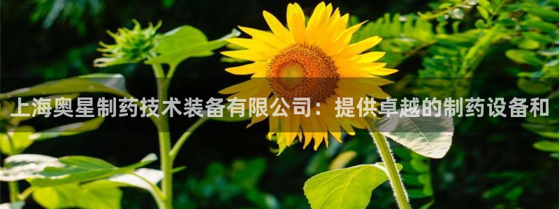 九游会老哥俱乐部官网：上海奥星制药技术装备有限公司：提供卓越的制药设备和