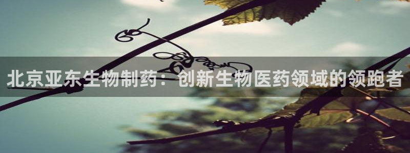 九游会老哥俱乐部官网：北京亚东生物制药：创新生物医药领域的领跑者