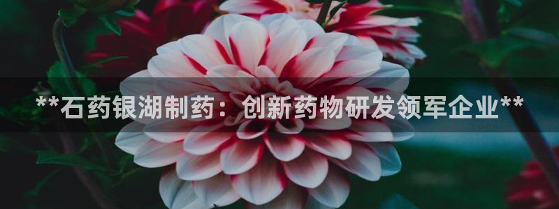 老哥俱乐部是干什么的：**石药银湖制药：创新药物研发领军企业**