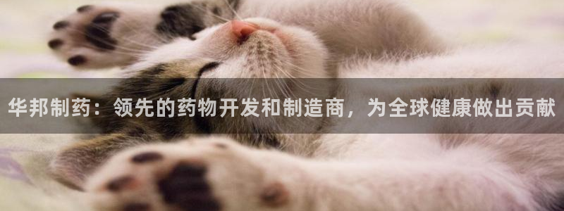 九游会老哥俱乐部：华邦制药：领先的药物开发和制造商，为全球健康做出贡献