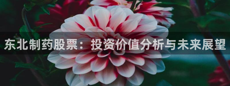 九游老哥俱乐部官网登录网址：东北制药股票：投资价值分析与未来展望