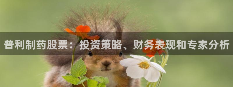 九游老哥俱乐部官网登录网址：普利制药股票：投资策略、财务表现和专家分析