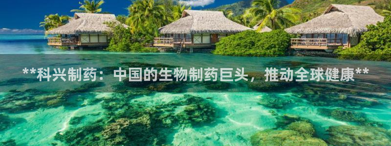九游老哥俱乐部登录：**科兴制药：中国的生物制药巨头，推动全球健康**