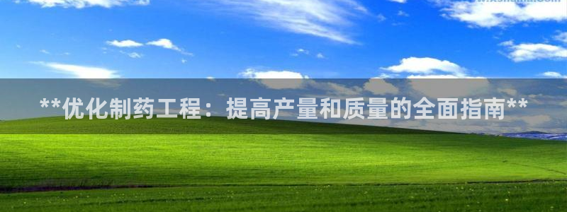 九游会老哥必备的交流社区九：**优化制药工程：提高产量和质量的全面指南**