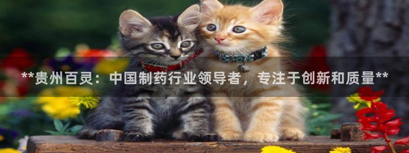 九游老哥俱乐部官网登录：**贵州百灵：中国制药行业领导者，专注于创新和质量**