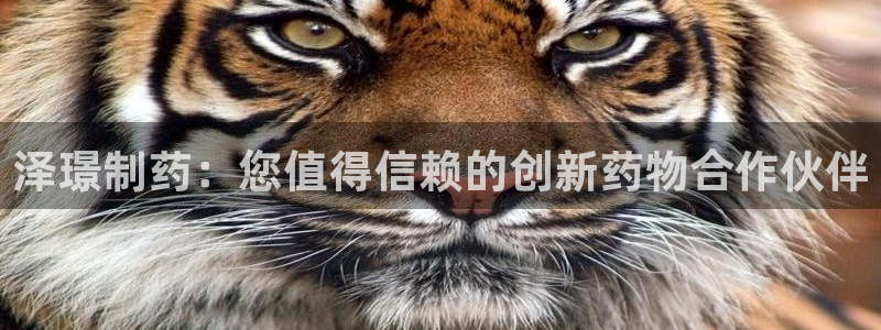 9游会老哥：泽璟制药：您值得信赖的创新药物合作伙伴