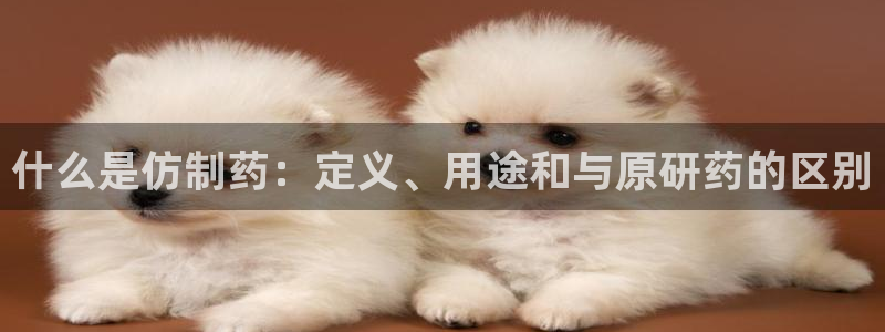 老哥俱乐部是干什么的：什么是仿制药：定义、用途和与原研药的区别