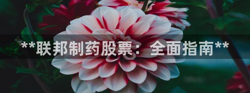 usdt九游会老哥俱乐部：**联邦制药股票：全面指南**
