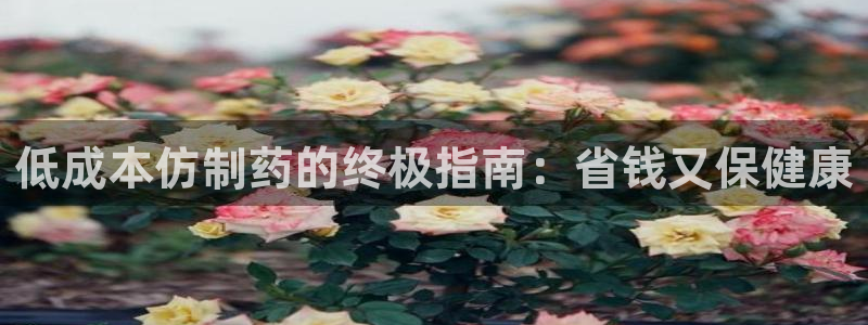 九游会老哥俱乐部必备的交流社区论坛：低成本仿制药的终极指南：省钱又保健康