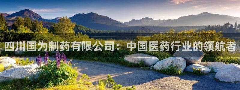 老哥吧九游会：四川国为制药有限公司：中国医药行业的领航者