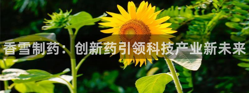j9九游会老哥俱乐部交流区：香雪制药：创新药引领科技产业新未来