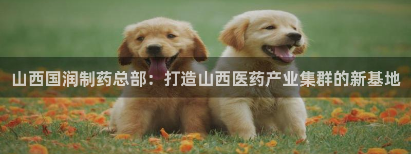 九游会老哥俱乐部交流社区：山西国润制药总部：打造山西医药产业集群的新基地